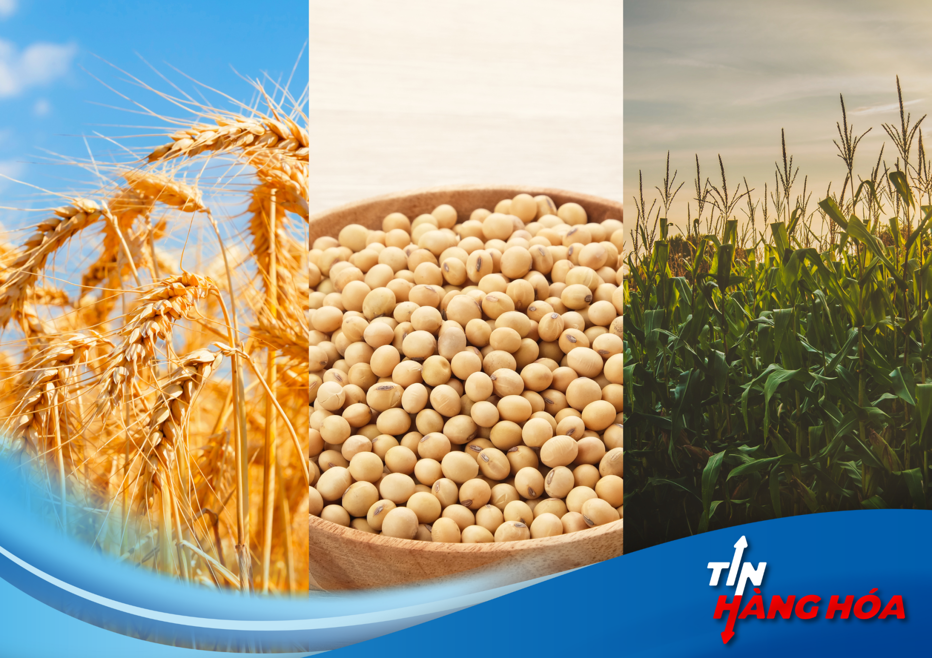 tin n&ocirc;ng sản 